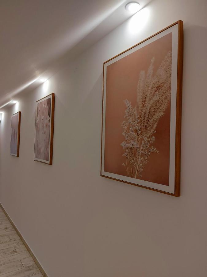 Akácos Tanya és Vendégház Marok Esterno foto
